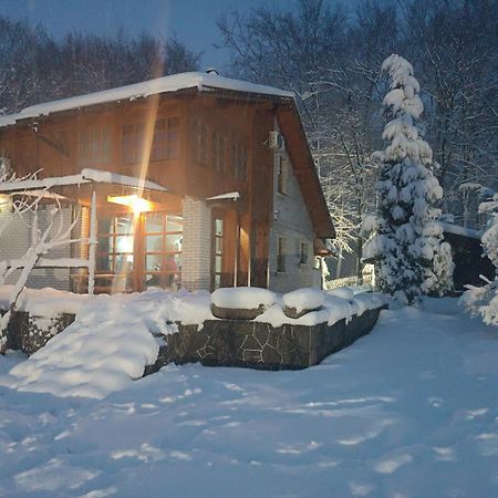 Villa Ema Σαράγεβο Εξωτερικό φωτογραφία